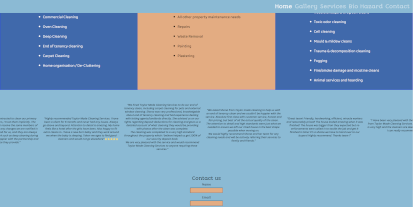 screen shot of Taylor Made Cleaning Services home page